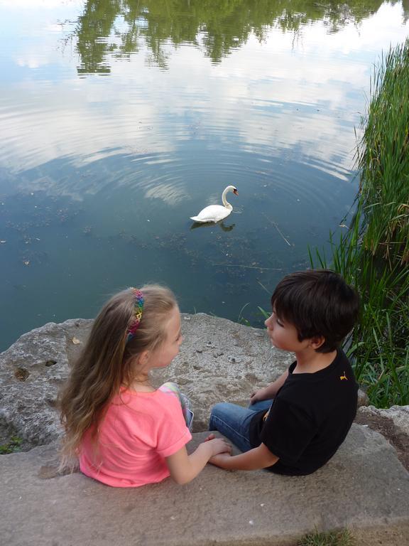 Penzion Cech Valtice Bagian luar foto